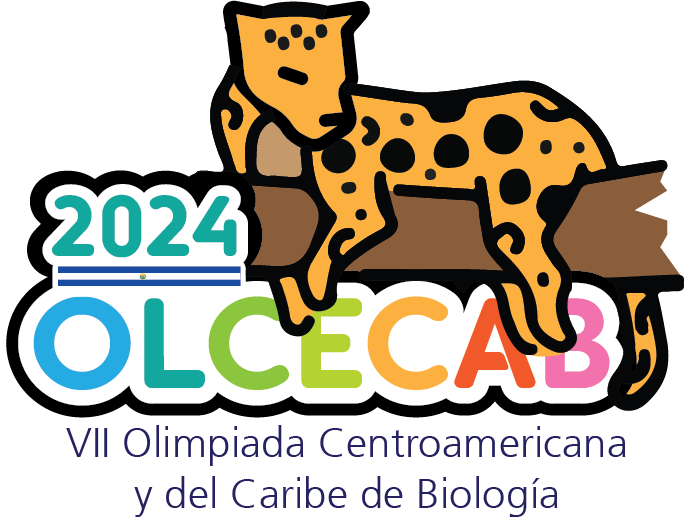 OLCECAB 2024